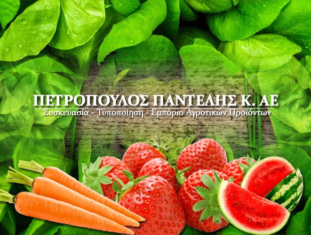 ΑΓΡΟΤΙΚΑ ΠΡΟΪΟΝΤΑ ΤΥΠΟΠΟΙΗΣΗ ΣΥΣΚΕΥΑΣΙΑ ΛΕΧΑΙΝΑ ΗΛΕΙΑ ΠΕΤΡΟΠΟΥΛΟΣ ΠΑΝΤΕΛΗΣ ΑΕ
